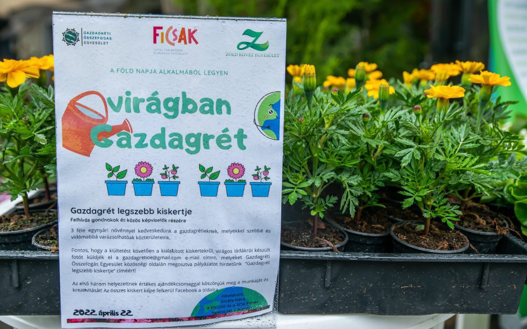 Virágban Gazdagrét – Több ezer virágpalántát osztottunk szét Újbudán